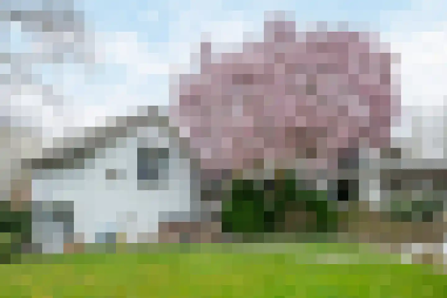 Kummenaedestraat 72 Geleen thumbnail 49