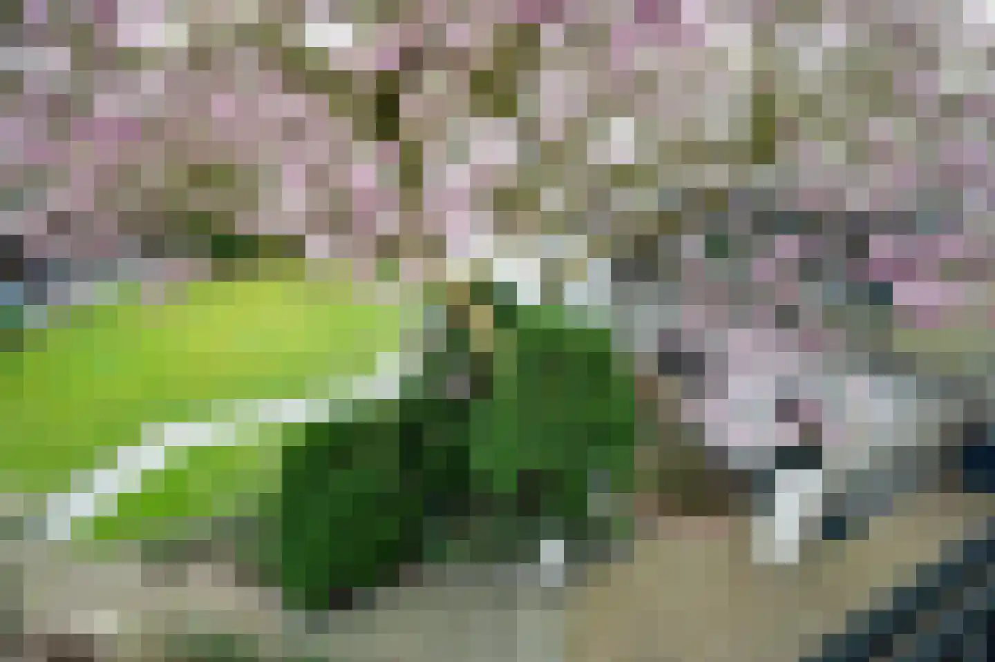 Kummenaedestraat 72 Geleen thumbnail 50