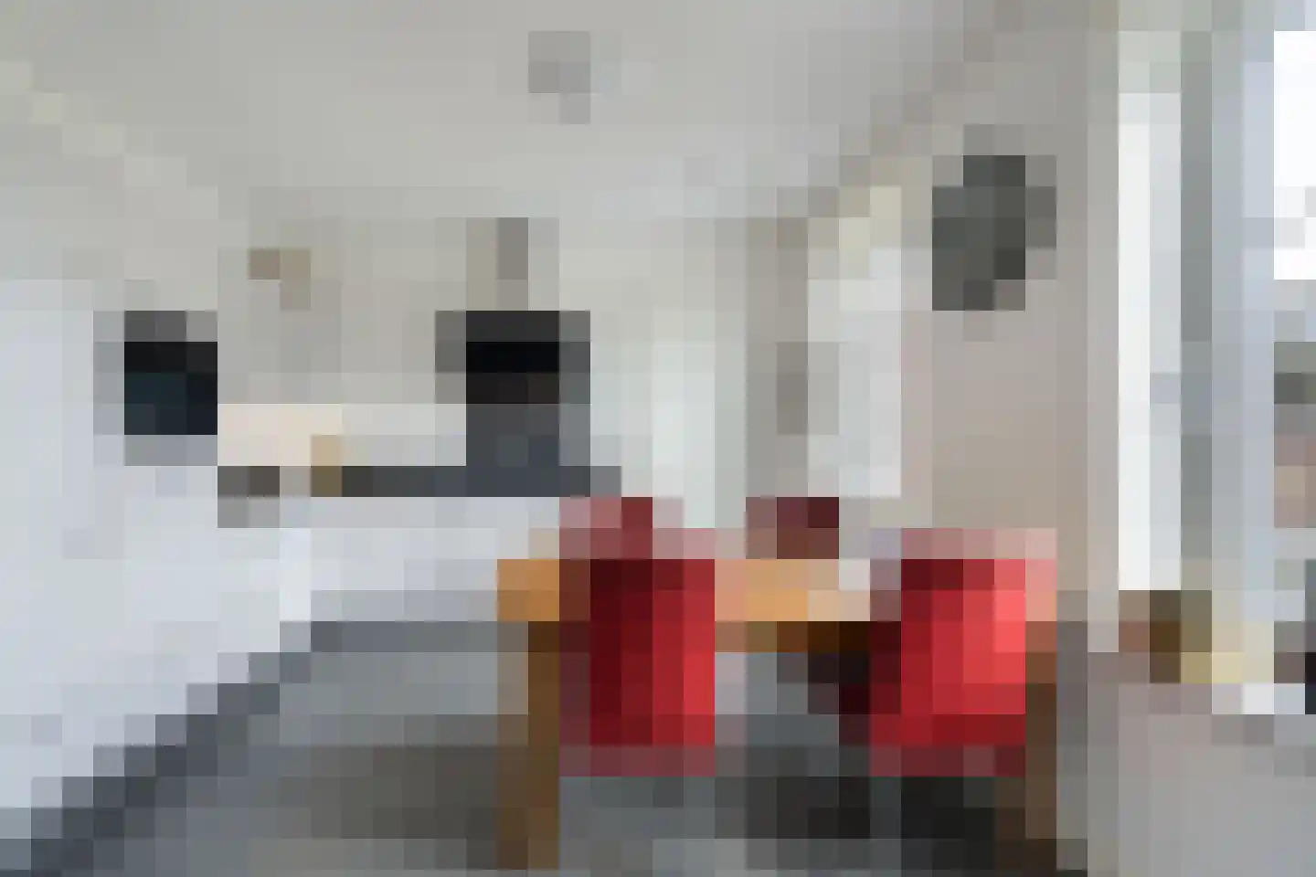 Kumpehof 38 Weert thumbnail 15