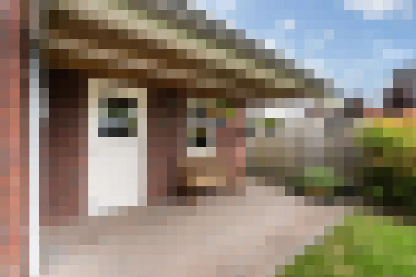 Kumpehof 38 Weert thumbnail 40
