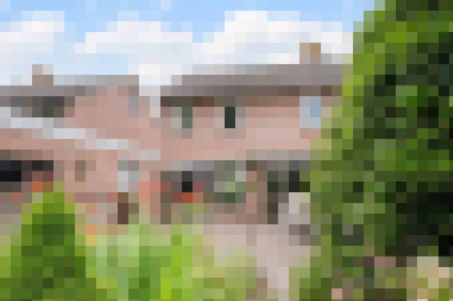 Kunerastraat 18 Heeswijk-Dinther thumbnail 32