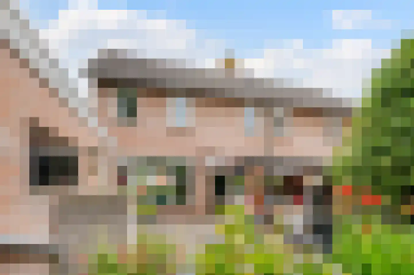Kunerastraat 18 Heeswijk-Dinther thumbnail 33