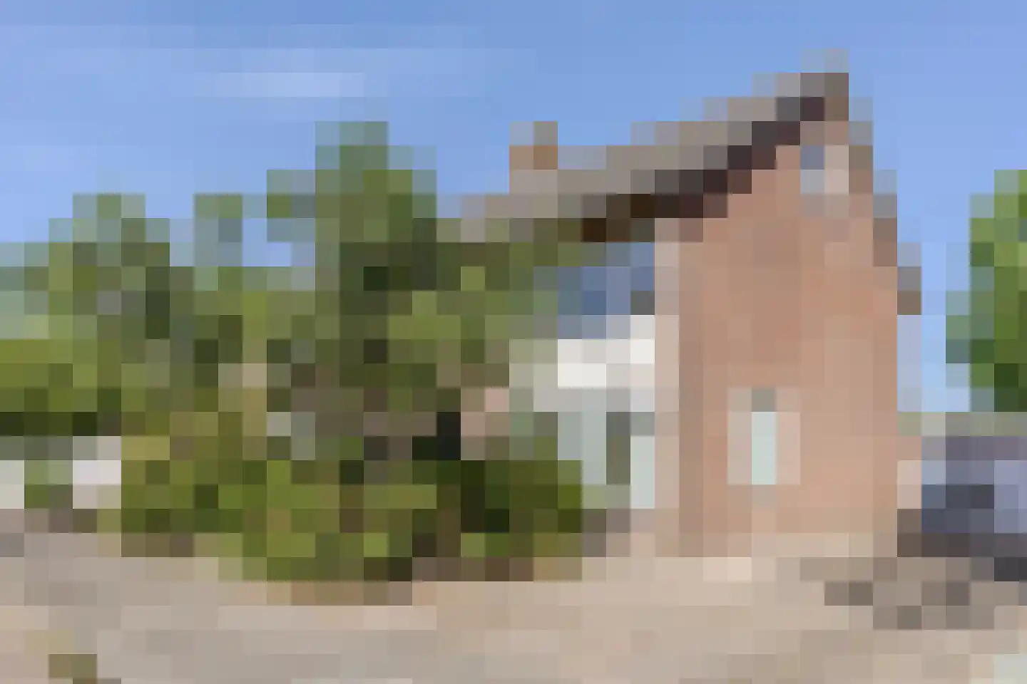 Kunerastraat 18 Heeswijk-Dinther thumbnail 42