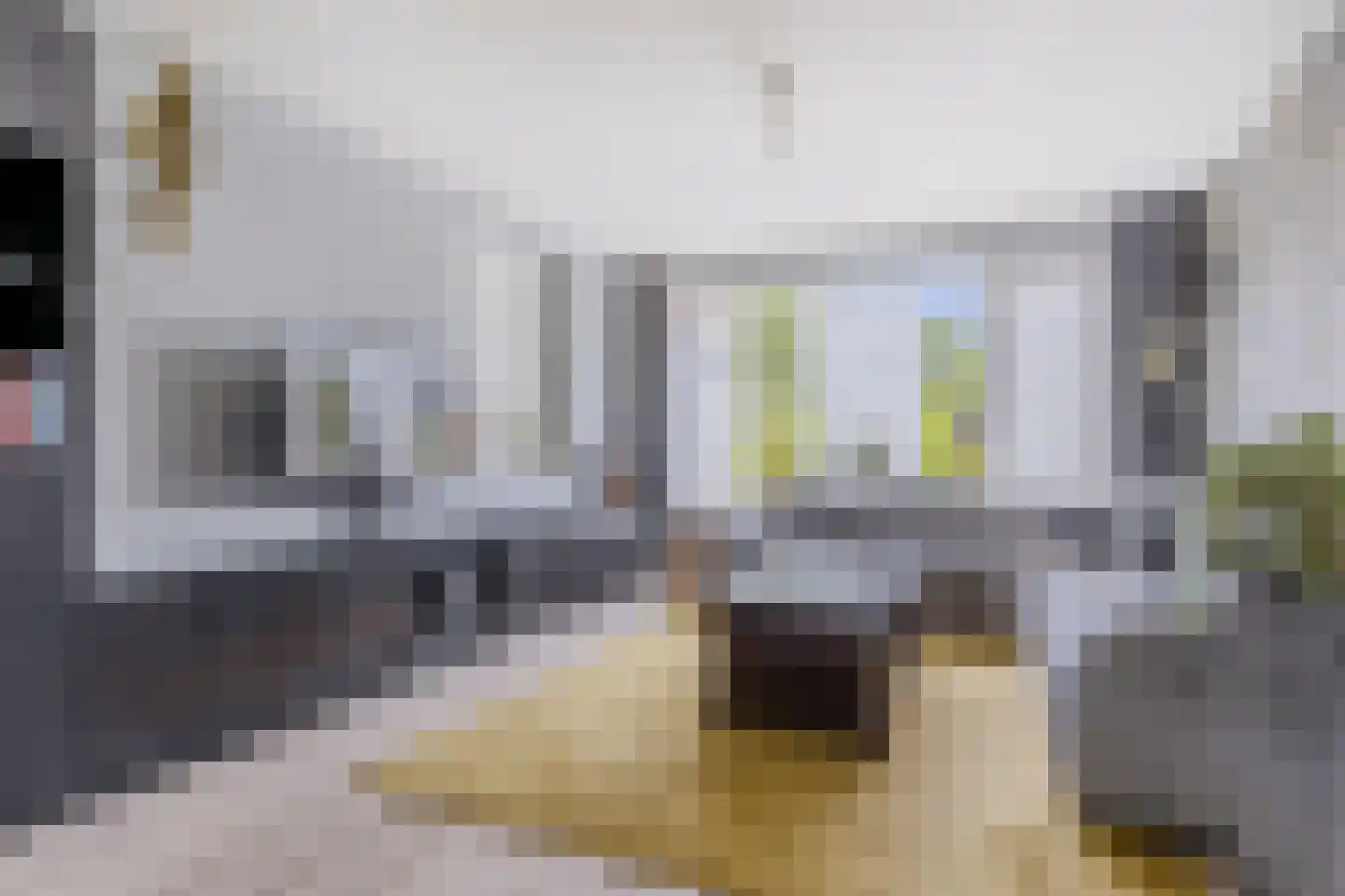 Kunerastraat 18 Heeswijk-Dinther thumbnail 7
