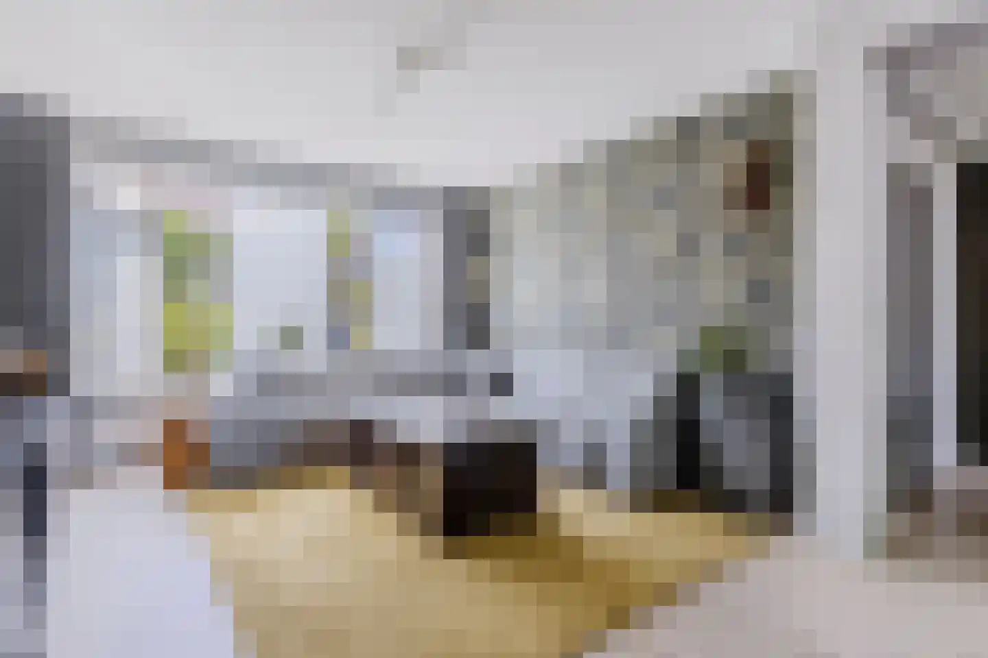 Kunerastraat 18 Heeswijk-Dinther thumbnail 8