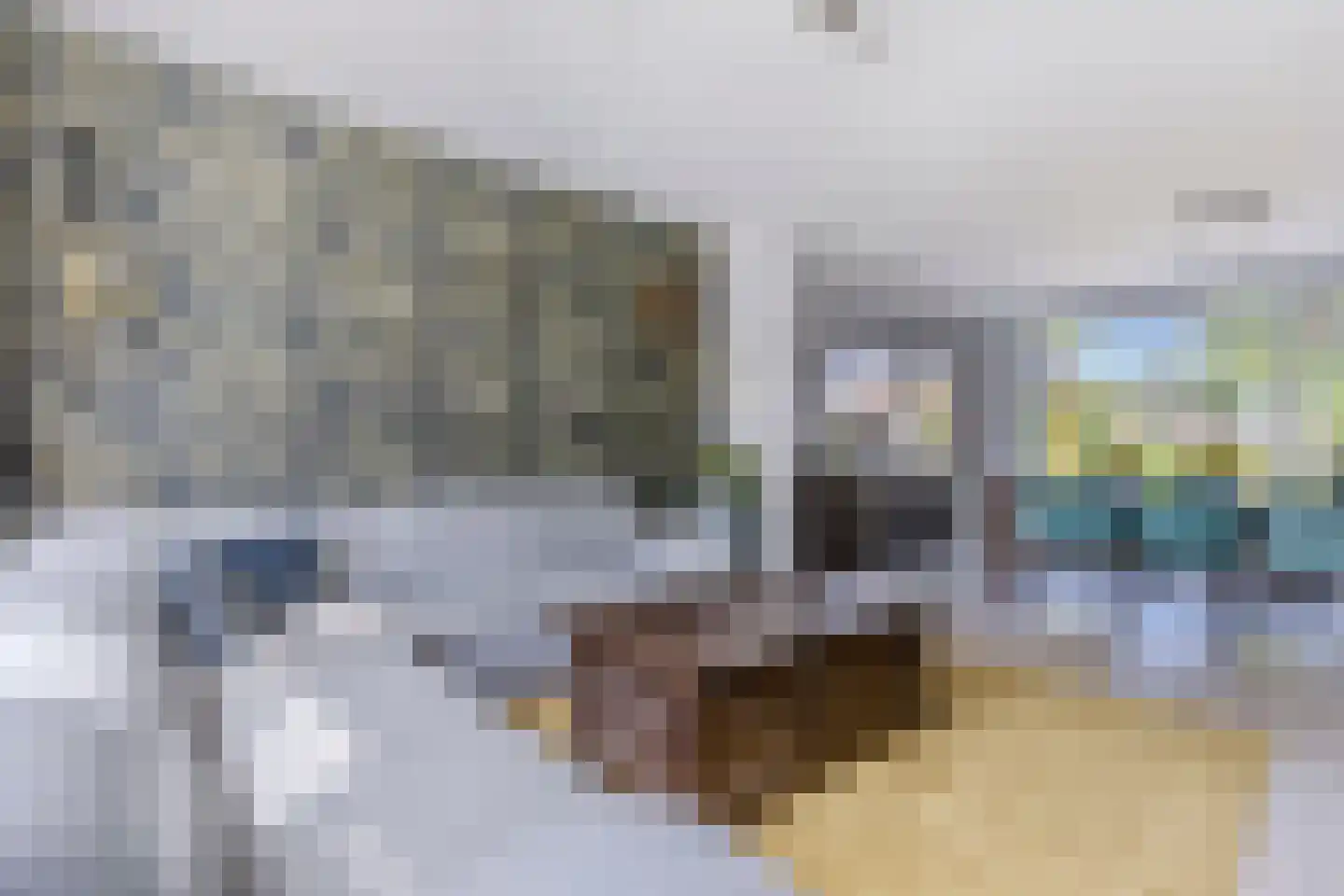 Kunerastraat 18 Heeswijk-Dinther thumbnail 9