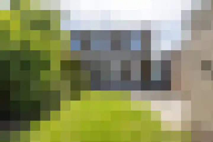 Kunostraat 21 Voerendaal thumbnail 19