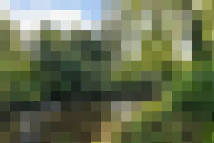 Kunstenaarshoeve 216 Apeldoorn thumbnail 10