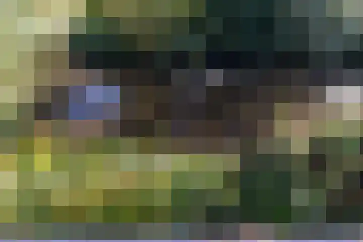 Kunstenaarshoeve 216 Apeldoorn thumbnail 11