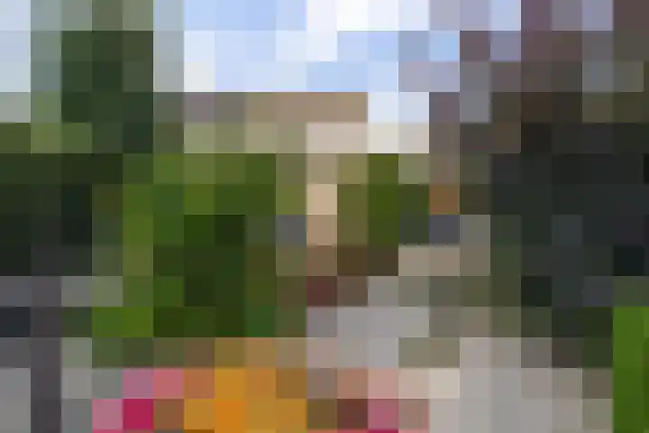 Kunstenaarshoeve 216 Apeldoorn thumbnail 12