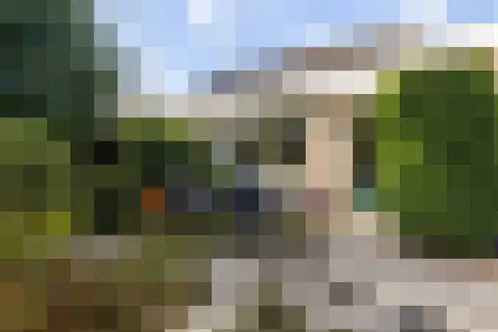 Kunstenaarshoeve 216 Apeldoorn thumbnail 13