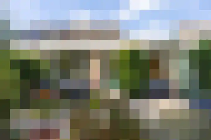 Kunstenaarshoeve 216 Apeldoorn thumbnail 14