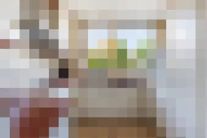 Kunstenaarshoeve 216 Apeldoorn thumbnail 18