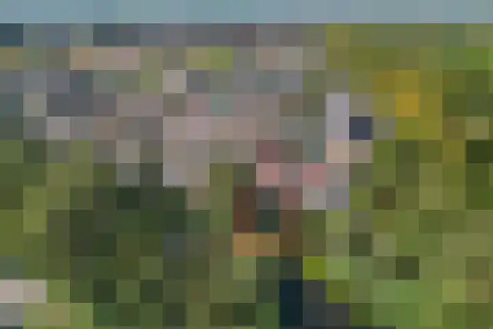 Kunstenaarshoeve 216 Apeldoorn thumbnail 32