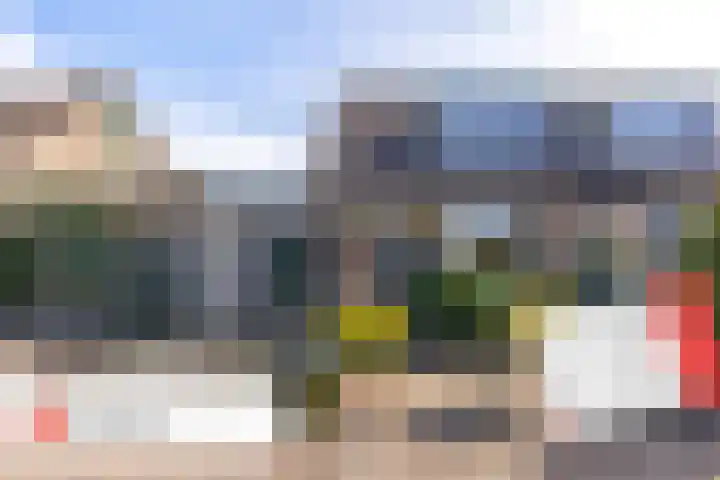 Kunstenaarshoeve 216 Apeldoorn thumbnail 33