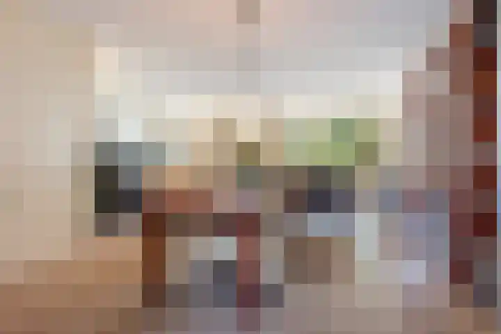 Kunstenaarshoeve 216 Apeldoorn thumbnail 4