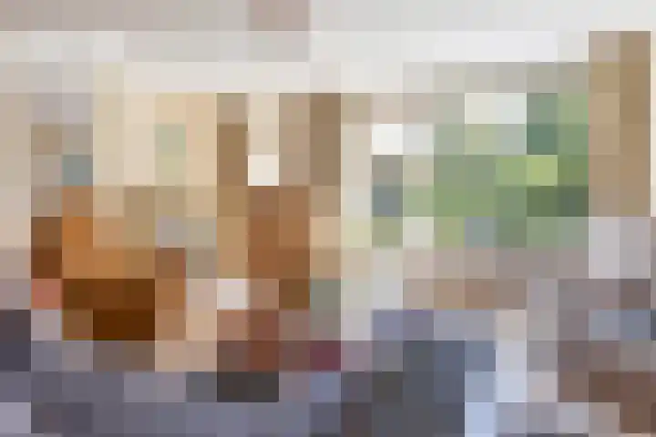 Kunstenaarshoeve 216 Apeldoorn thumbnail 5