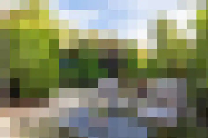 Kunstenaarshoeve 216 Apeldoorn thumbnail 7