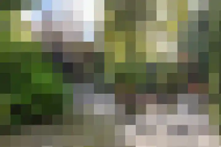 Kunstenaarshoeve 216 Apeldoorn thumbnail 8