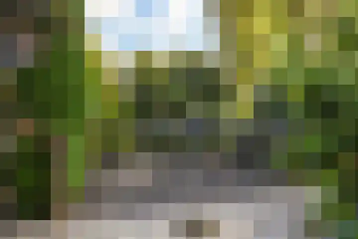Kunstenaarshoeve 216 Apeldoorn thumbnail 9