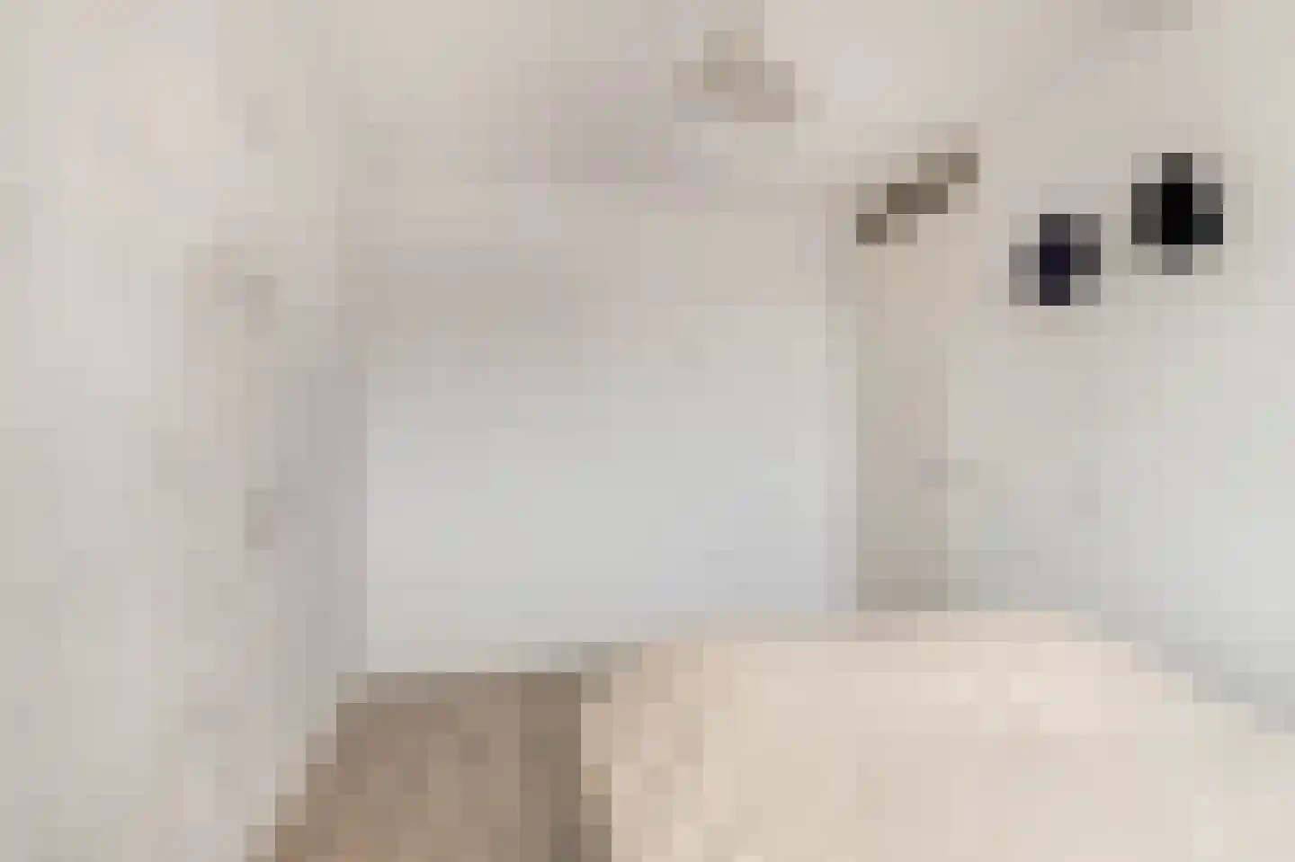 Kunstgras 11 De Goorn thumbnail 22
