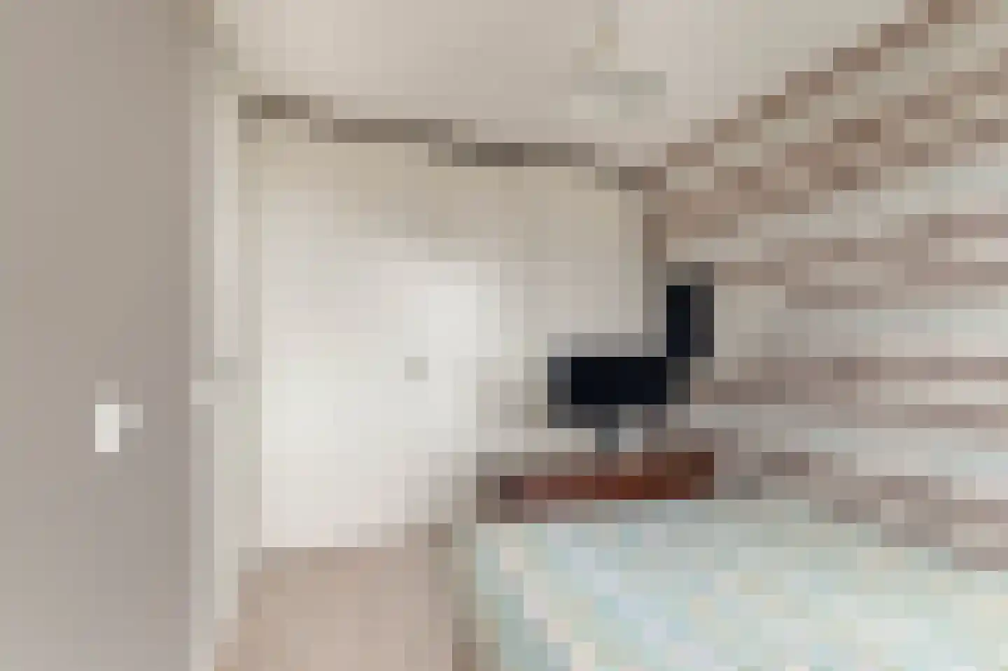 Kunstgras 11 De Goorn thumbnail 25