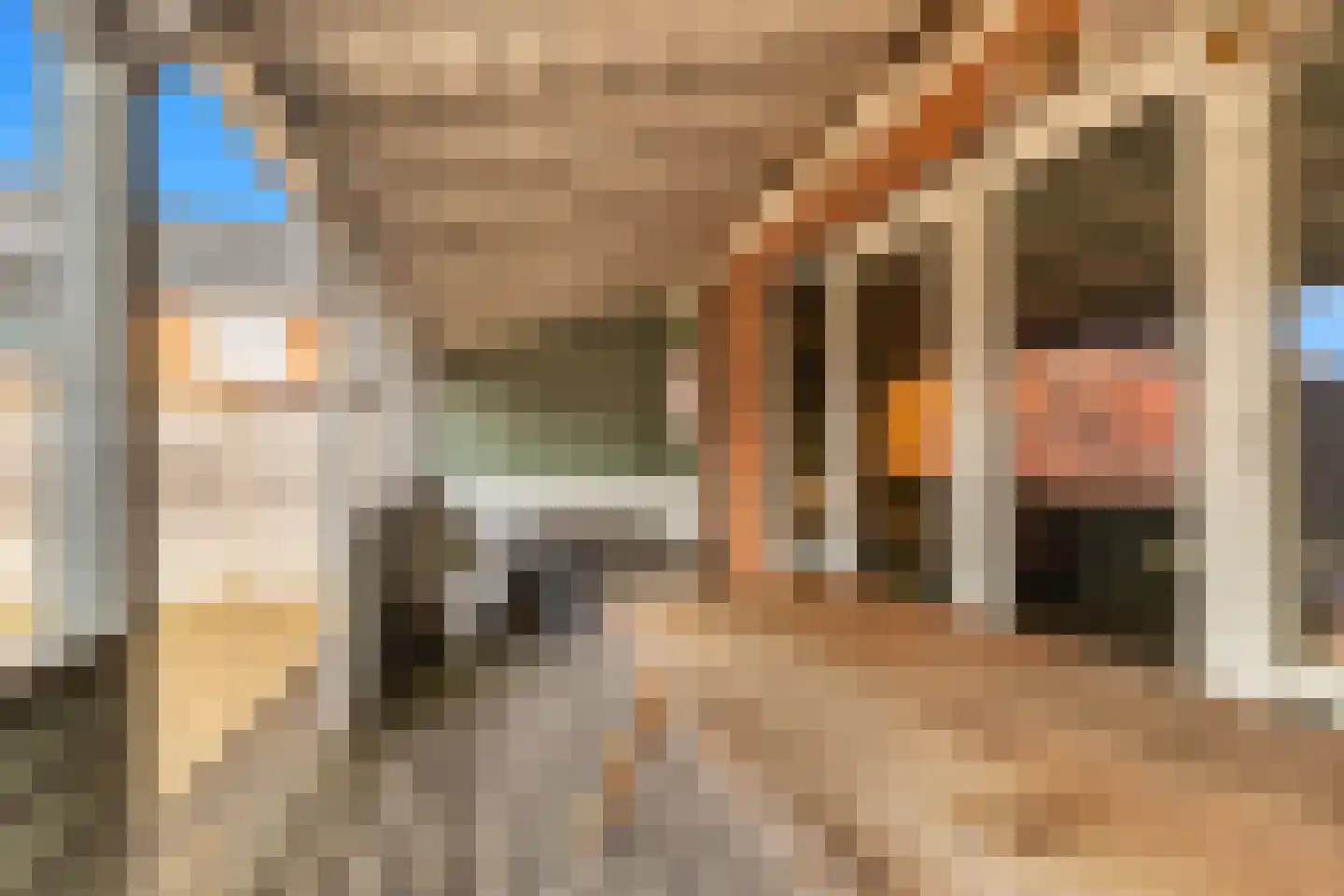 Kunstgras 11 De Goorn thumbnail 29