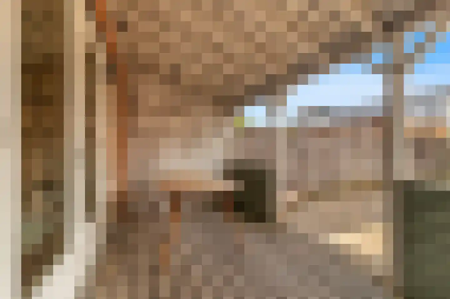 Kunstgras 11 De Goorn thumbnail 31