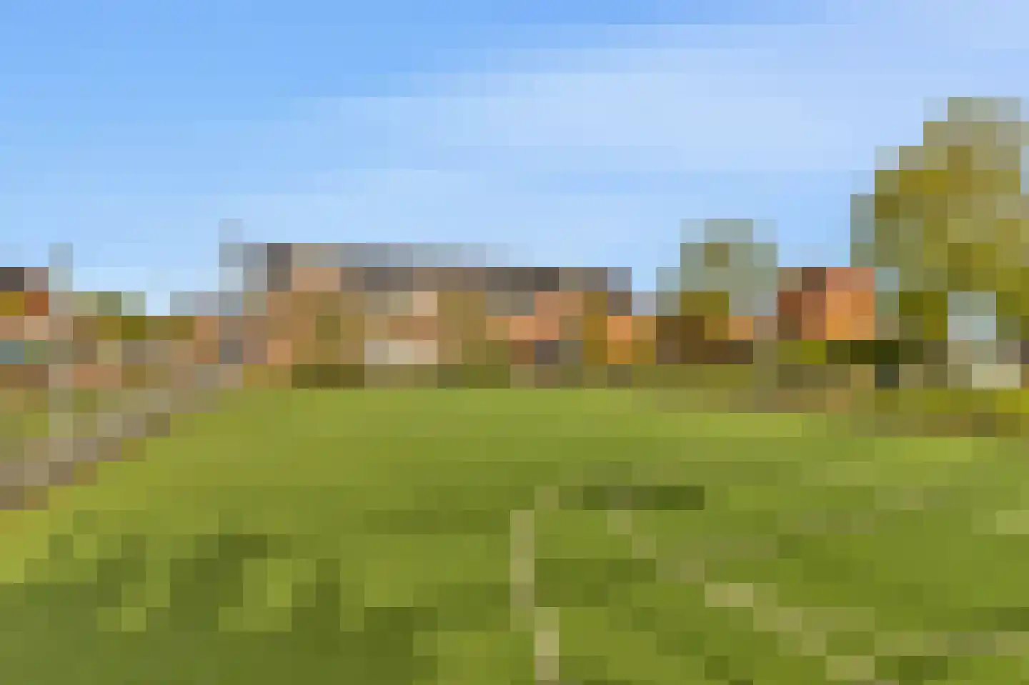 Kunstgras 11 De Goorn thumbnail 44