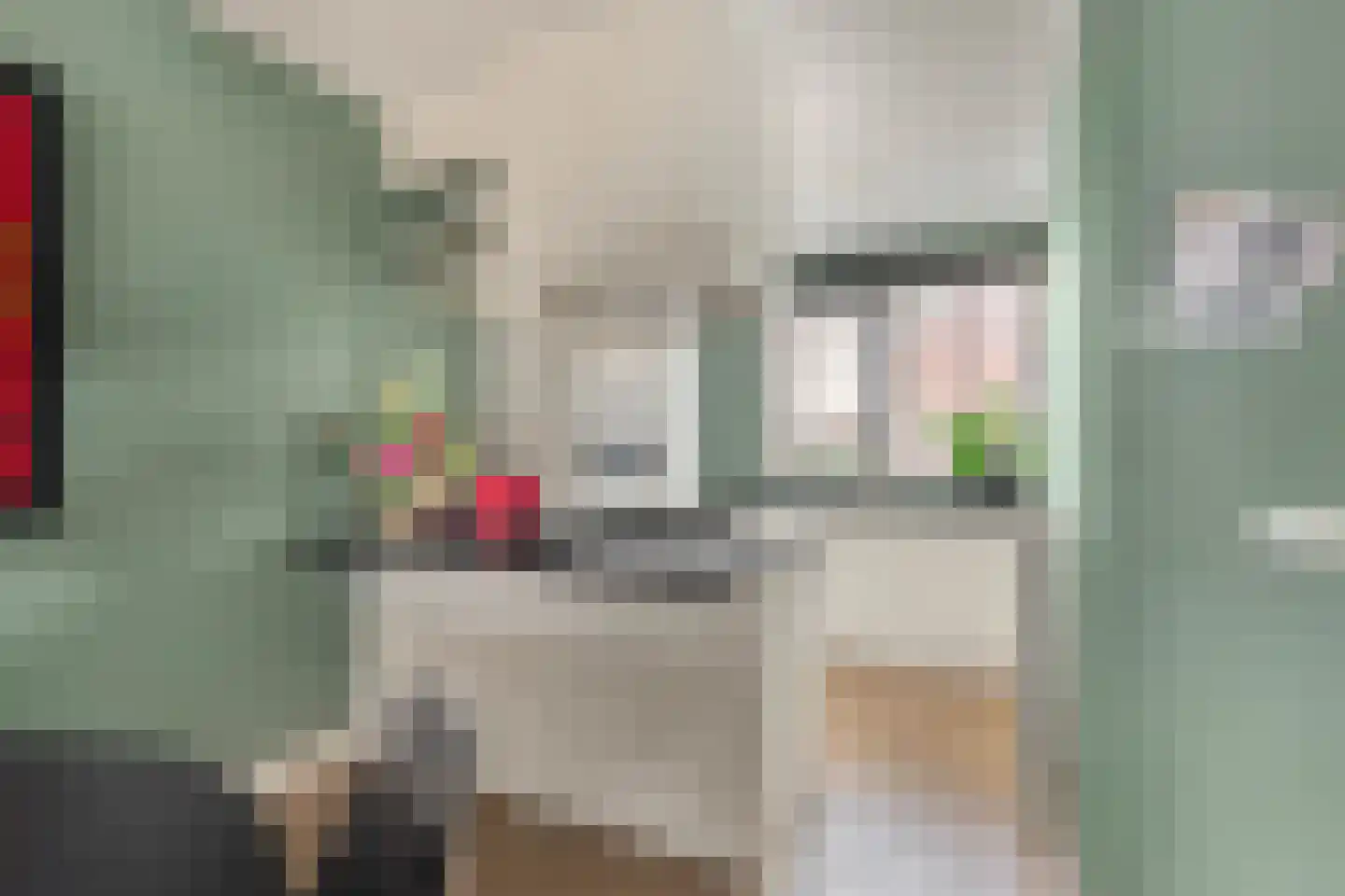 Kunstgras 11 De Goorn thumbnail 5