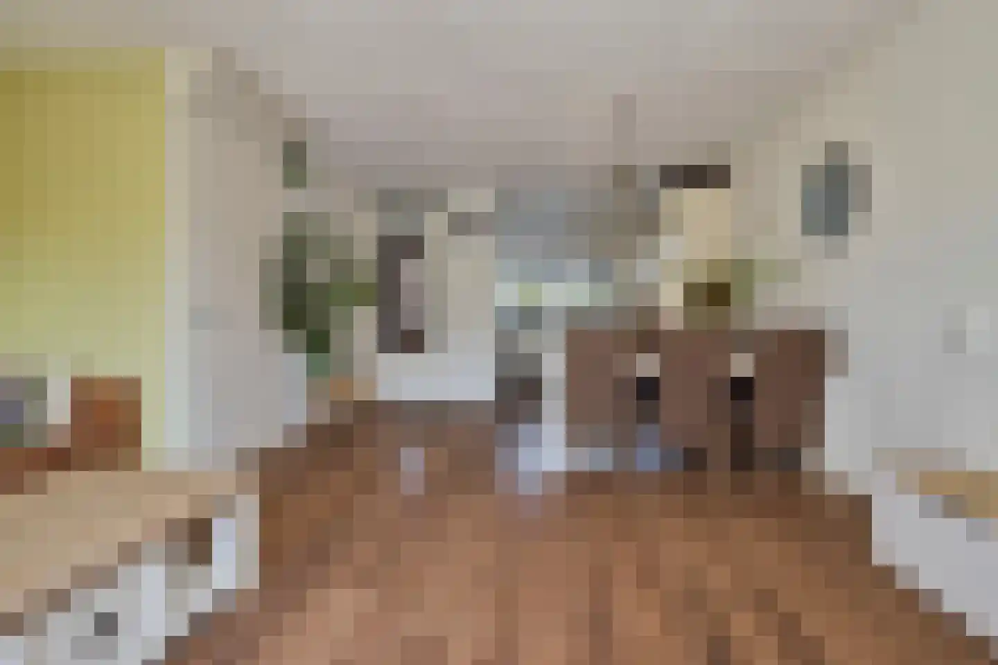 Kunstgras 5 De Goorn thumbnail 18