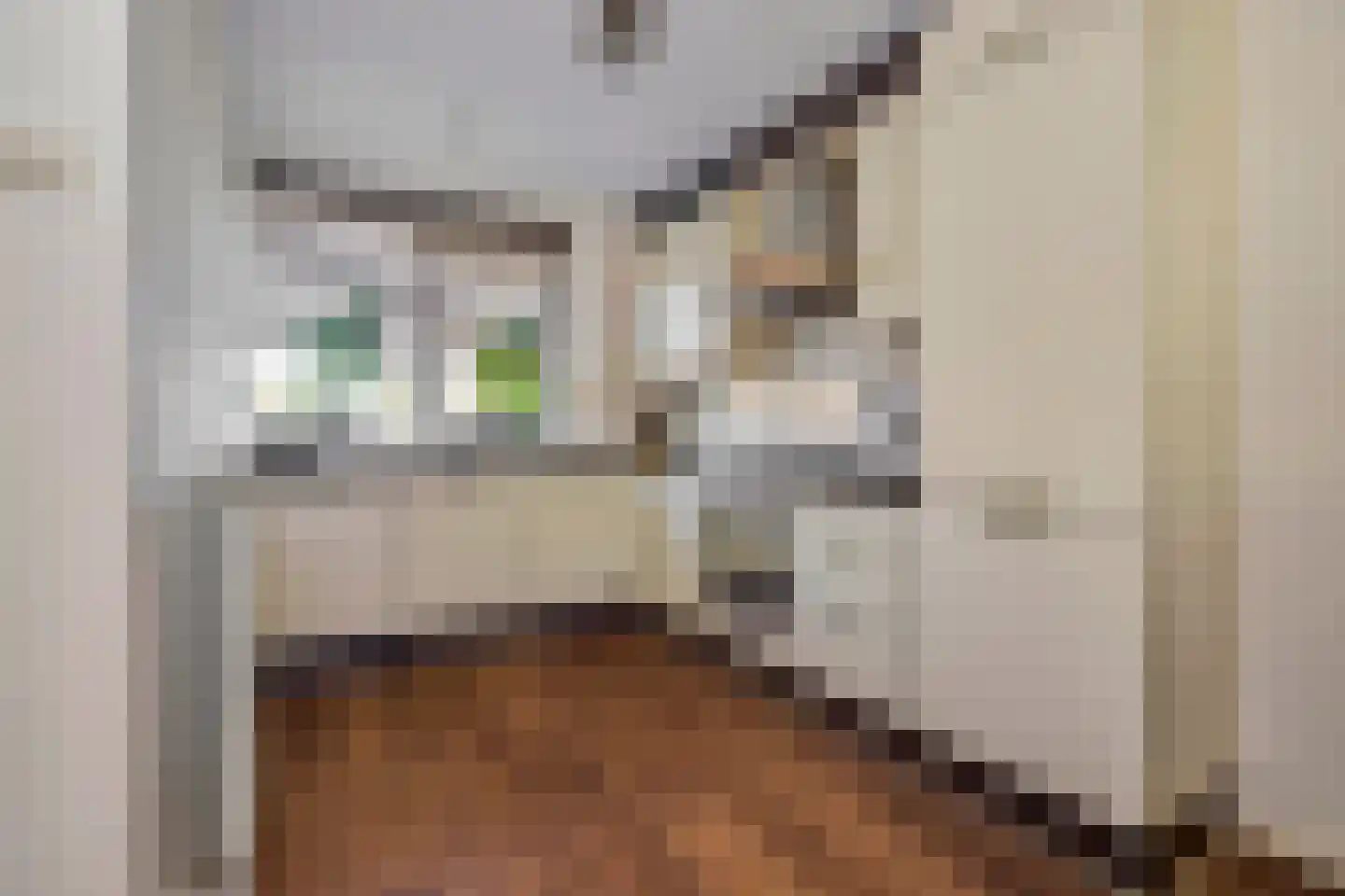 Kunstgras 5 De Goorn thumbnail 20