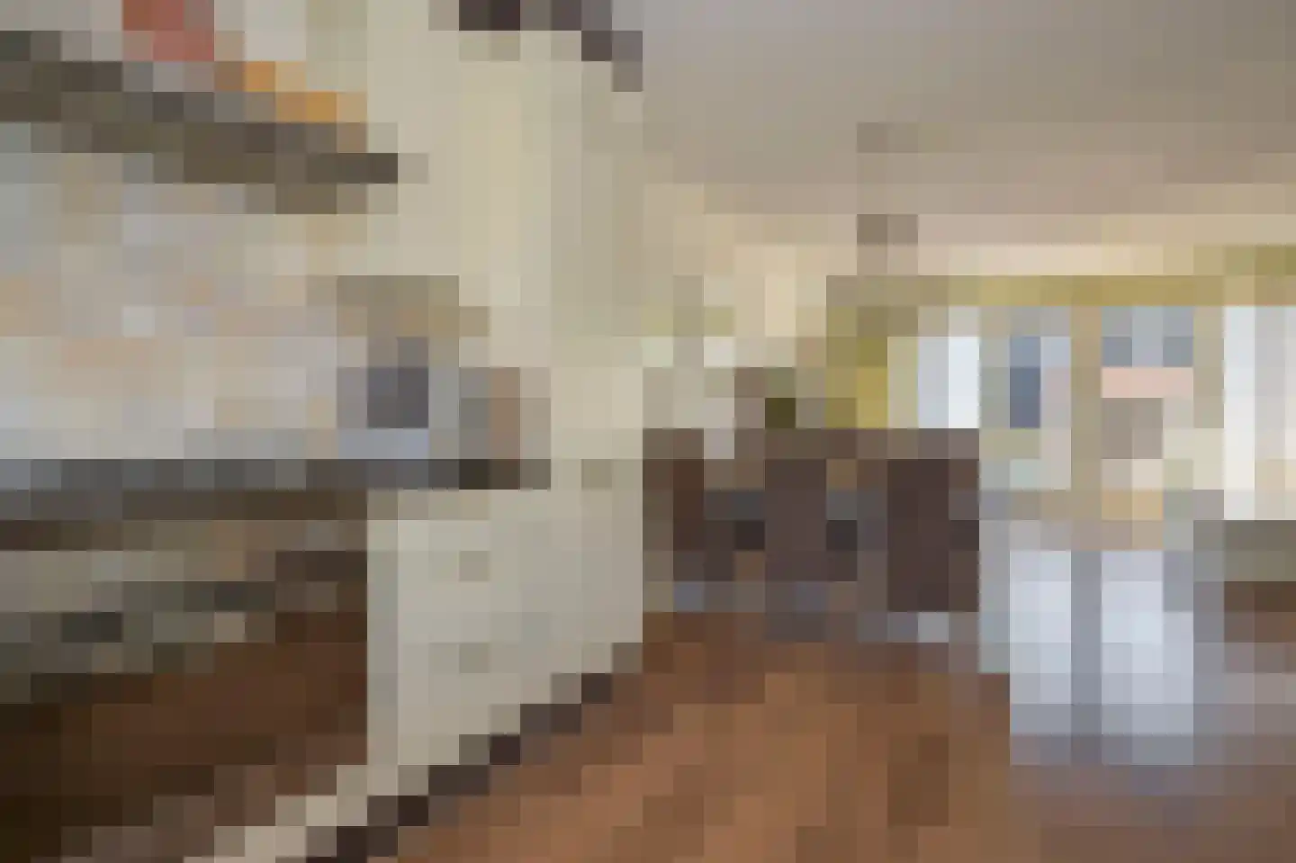 Kunstgras 5 De Goorn thumbnail 21