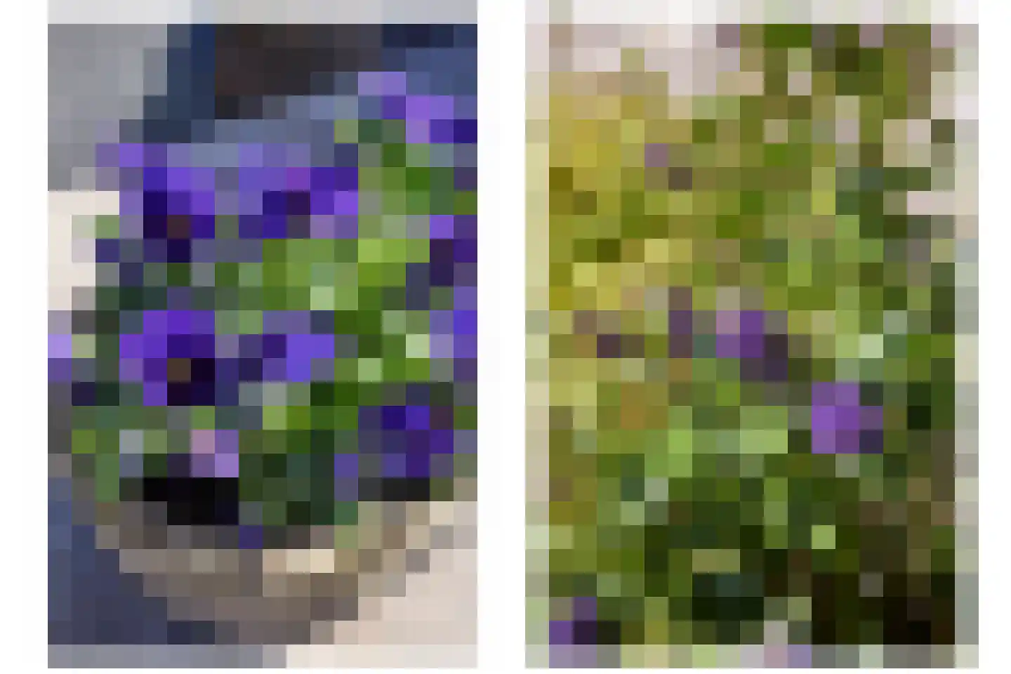Kunstgras 5 De Goorn thumbnail 39