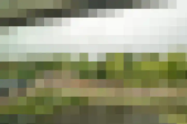 Kunstlaan 18 Opmeer thumbnail 10