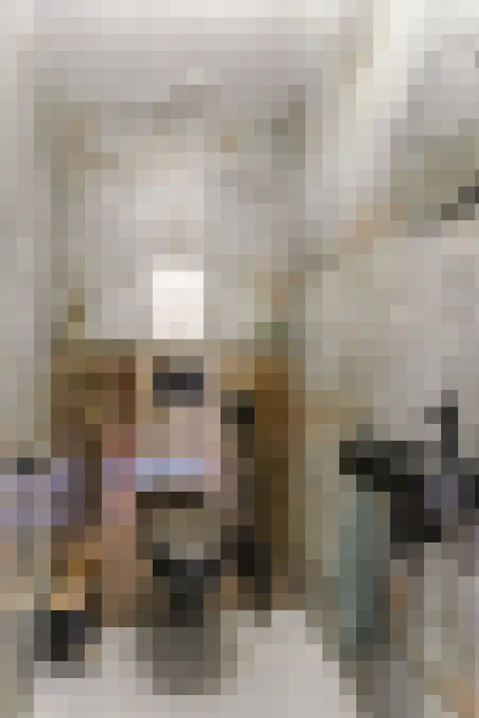 Kunstlaan 18 Opmeer thumbnail 22