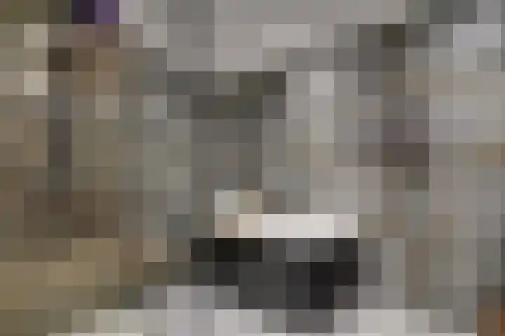 Kunstlaan 18 Opmeer thumbnail 23