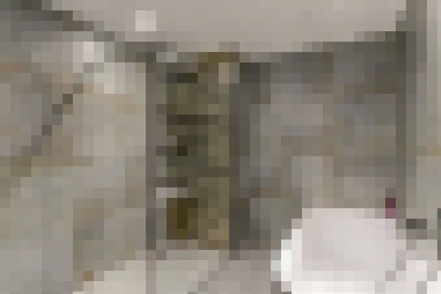 Kunstlaan 18 Opmeer thumbnail 23