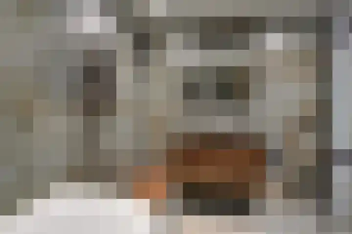 Kunstlaan 18 Opmeer thumbnail 24