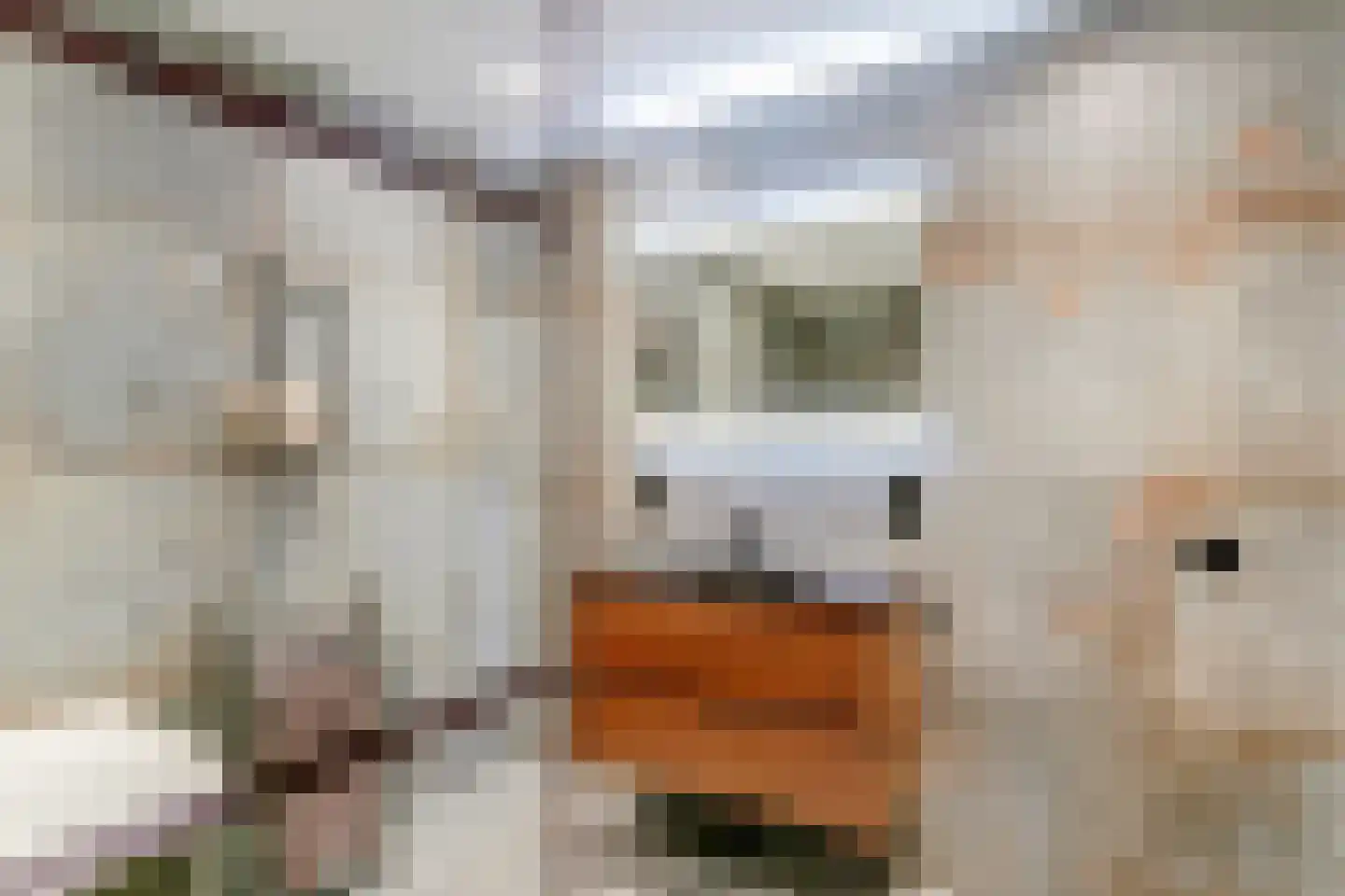 Kunstlaan 18 Opmeer thumbnail 25