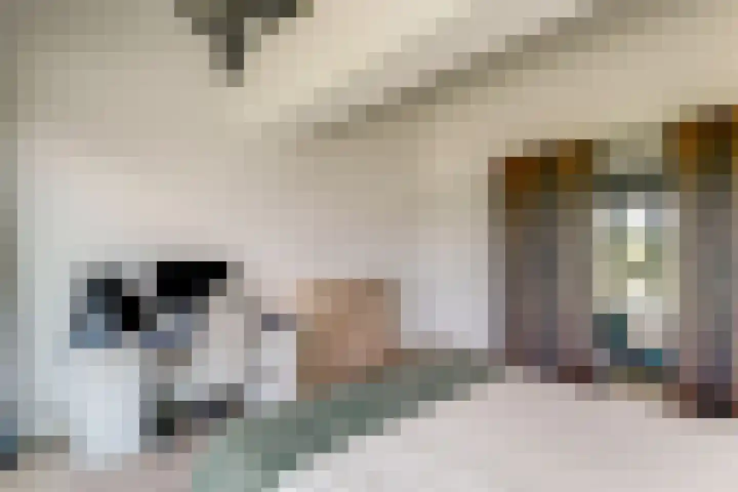 Kunstlaan 18 Opmeer thumbnail 27