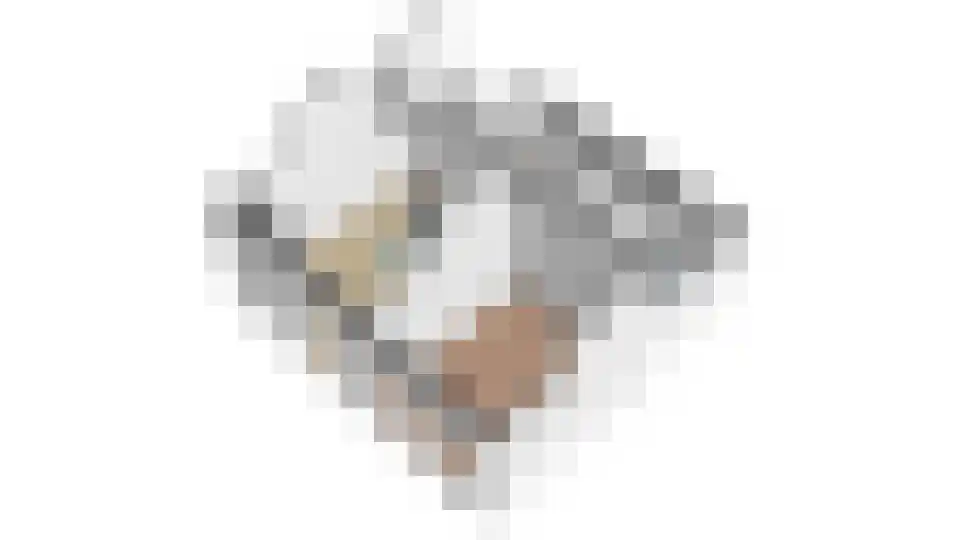 Kunstlaan 18 Opmeer thumbnail 43