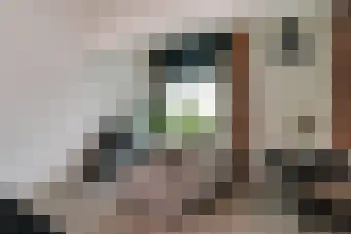 Kunstlaan 18 Opmeer thumbnail 8