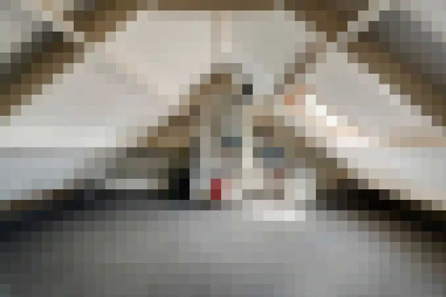 Kuntzestraat 102 Nunspeet thumbnail 29