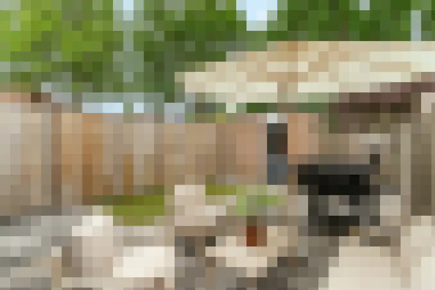 Kuntzestraat 110 Nunspeet thumbnail 30
