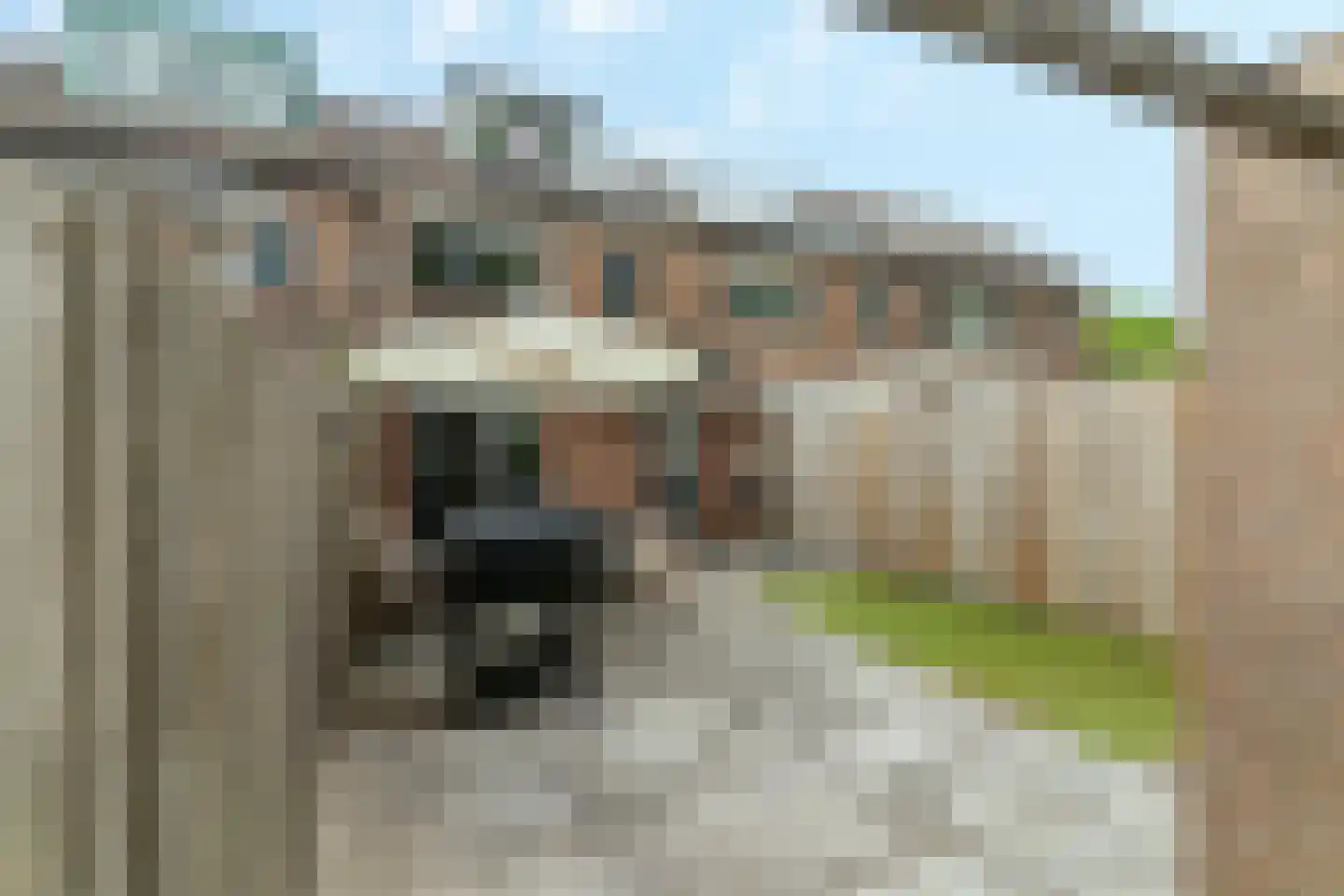 Kuntzestraat 110 Nunspeet thumbnail 31