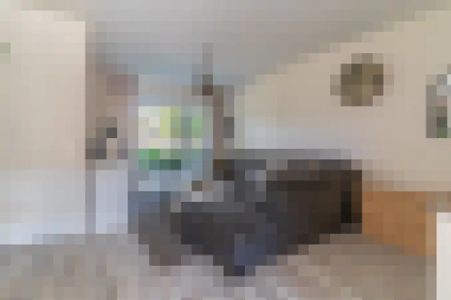 Kuntzestraat 17 Nunspeet thumbnail 10