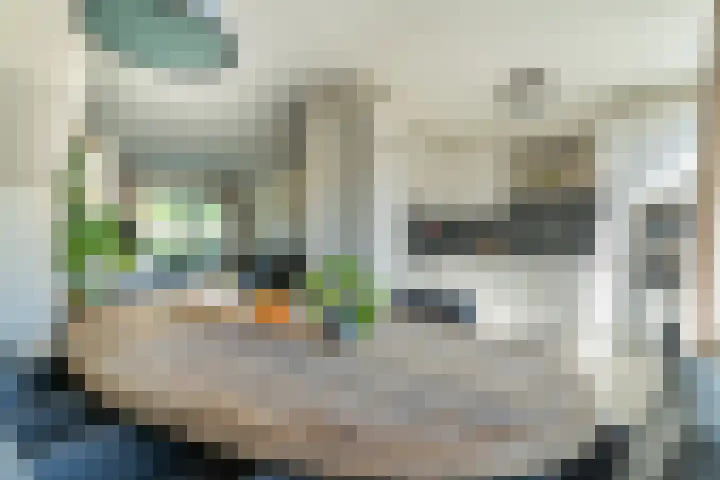 Kuntzestraat 17 Nunspeet thumbnail 14