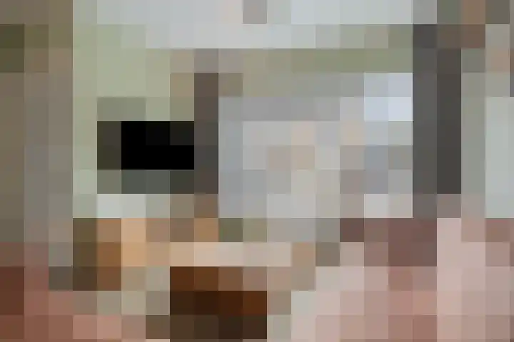 Kuntzestraat 3 Nunspeet thumbnail 10