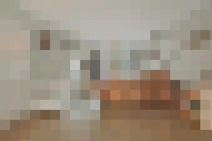 Kuntzestraat 3 Nunspeet thumbnail 11